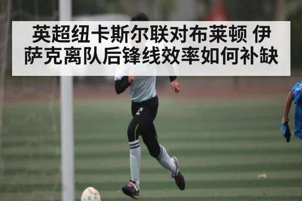 英超纽卡斯尔联对布莱顿 伊萨克离队后锋线效率如何补缺 | kaiyun.com