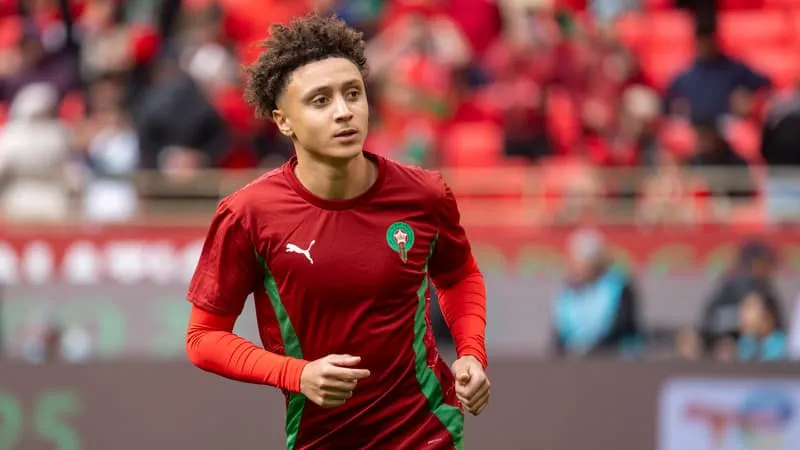 点赞塞内加尔球员庆祝非洲杯夺冠，多名摩洛哥国脚公开道歉